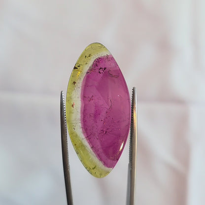 Brazilian Tourmaline (Watermelon) Freeform Slice