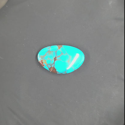 Stabilized Egyptian Prince Turquoise Freeform