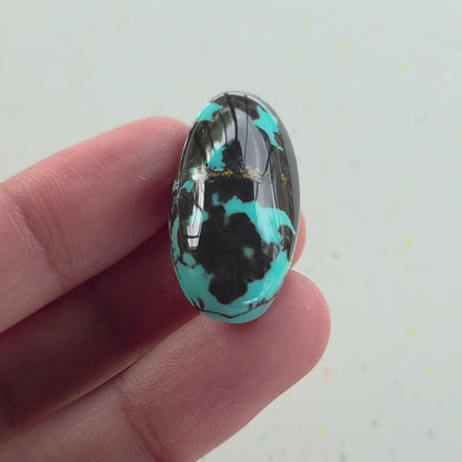 Stabilized Kingman Turquoise Oval