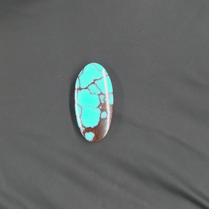 Stabilized Egyptian Prince Turquoise Oval