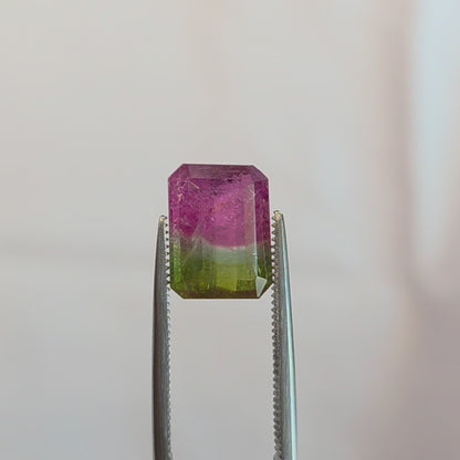 Brazilian Tourmaline (Watermelon) Rectangular Faceted Cut