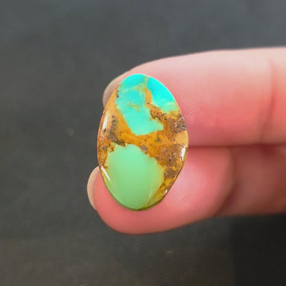 Stabilized Kingman Turquoise Freeform