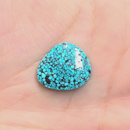 Natural Kingman Black Web Turquoise Freeform
