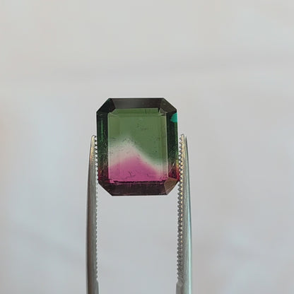 Brazilian Tourmaline (Watermelon) Rectangular Faceted Cut