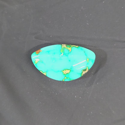 Stabilized Sonoran Gold Turquoise Freeform