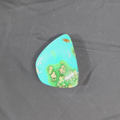 Stabilized Sonoran Gold Turquoise Freeform