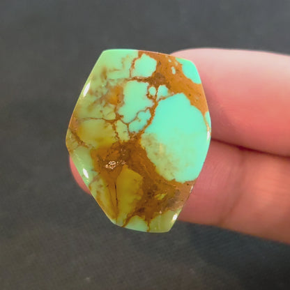 Stabilized Kingman Turquoise Freeform