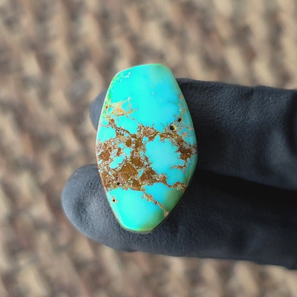 Stabilized Sonoran Gold Turquoise Freeform