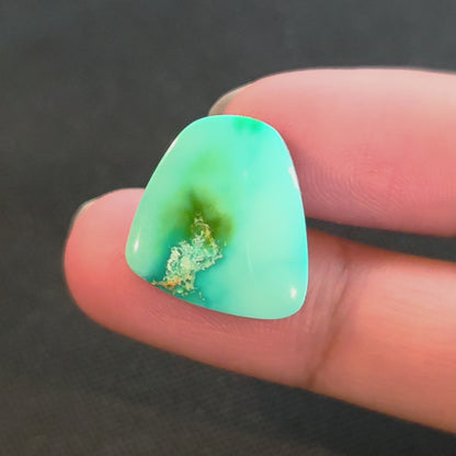 Stabilized Sonoran Gold Turquoise Freeform