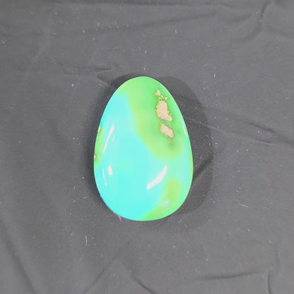 Stabilized Sonoran Gold Turquoise Freeform