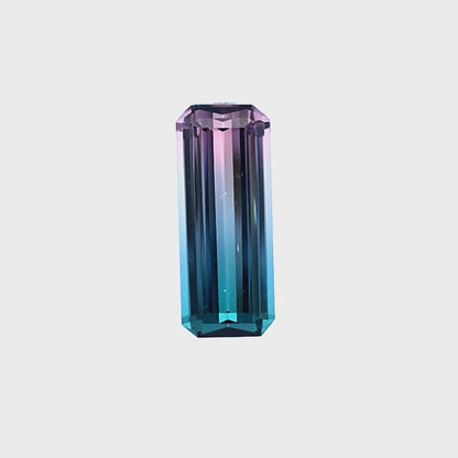 Brazilian Tourmaline (Bicolor) Rectangular Faceted Cut