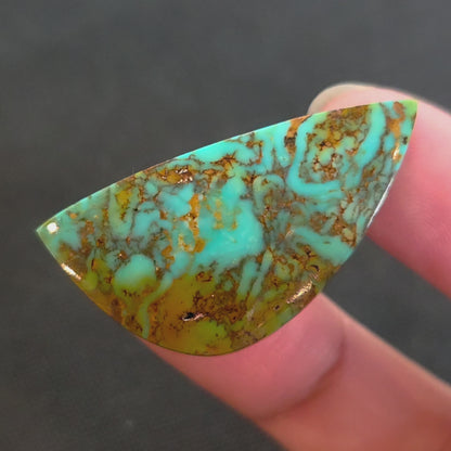 Stabilized Kingman Turquoise Freeform