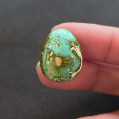 Natural Royston Turquoise Freeform