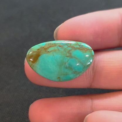 Stabilized Kingman Turquoise Freeform