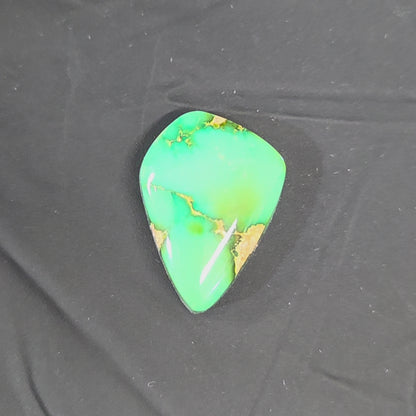 Stabilized Sonoran Gold Turquoise Freeform