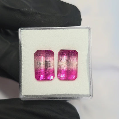 Brazilian Tourmaline (Bicolor) Rectangular Faceted Pair