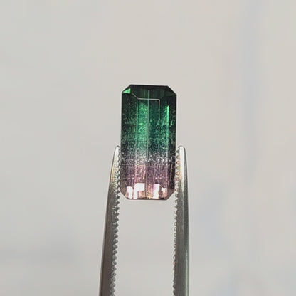 Brazilian Tourmaline (Bicolor) Rectangular Faceted Cut