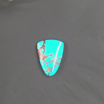 Stabilized Egyptian Prince Turquoise Tongue-Shaped