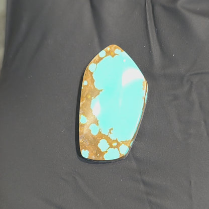 Stabilized Supernova Turquoise Cabochon (Copy)