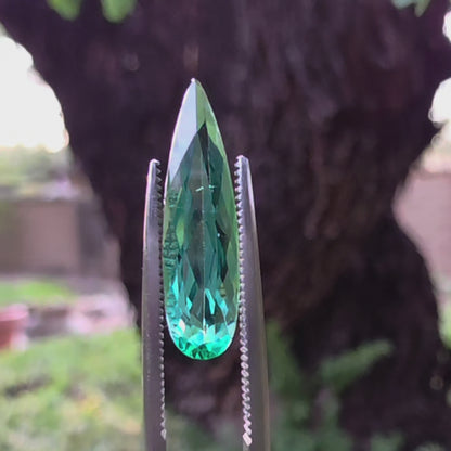 Brazilian Tourmaline (Green) Pear Faceted Cut
