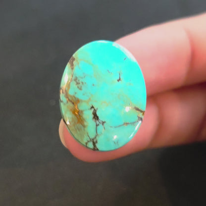 Stabilized Kingman Turquoise Oval