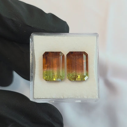 Brazilian Tourmaline (Bicolor) Rectangular Faceted Pair