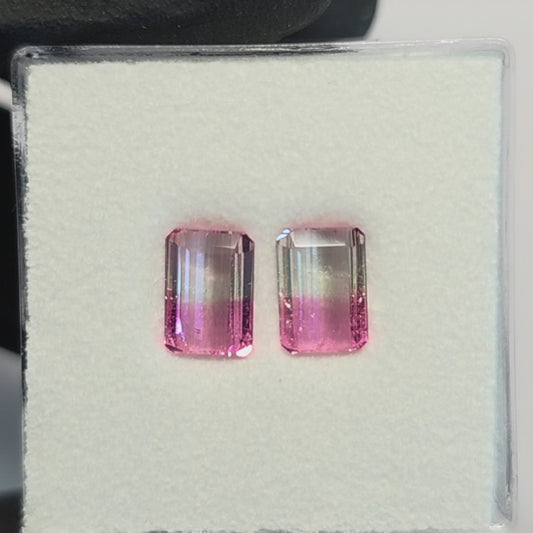 Brazilian Tourmaline (Bicolor) Rectangular Faceted Pair