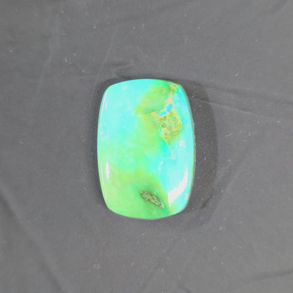 Stabilized Sonoran Gold Turquoise Rectangle