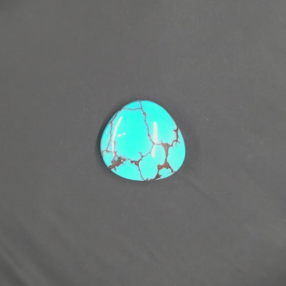 Stabilized Egyptian Prince Turquoise Freeform