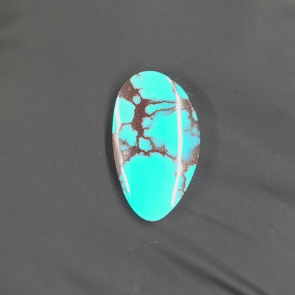 Stabilized Egyptian Prince Turquoise Freeform