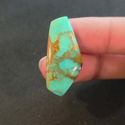 Stabilized Kingman Turquoise Freeform