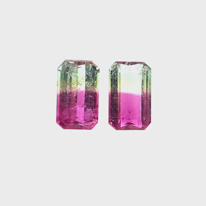 Brazilian Tourmaline (Bicolor) Rectangular Faceted Pair