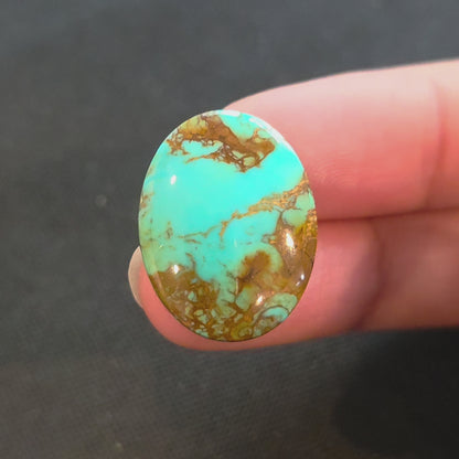 Stabilized Kingman Turquoise Oval