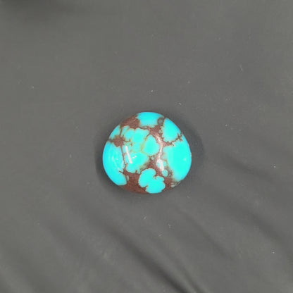 Stabilized Egyptian Prince Turquoise Freeform