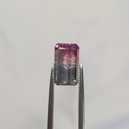 Brazilian Tourmaline (Tricolor) Rectangular Faceted Cut