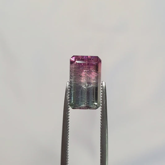 Brazilian Tourmaline (Tricolor) Rectangular Faceted Cut