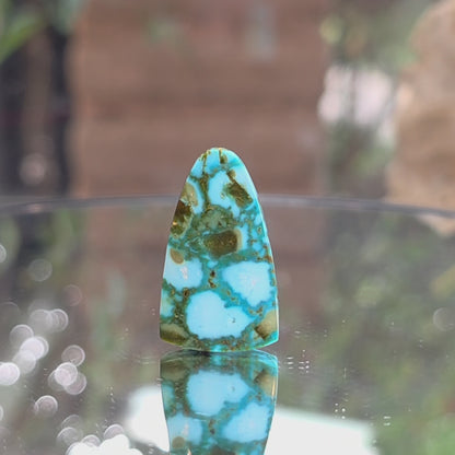 Stabilized Kingman Red Web Turquoise Tongue