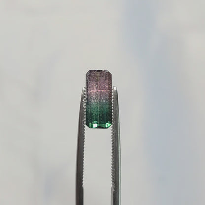 Brazilian Tourmaline (Tricolor) Rectangular Faceted Cut