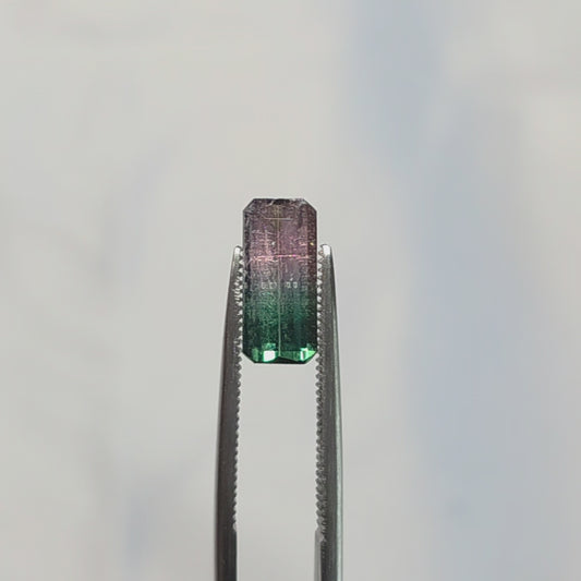Brazilian Tourmaline (Tricolor) Rectangular Faceted Cut