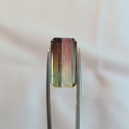 Brazilian Tourmaline (Bicolor) Rectangular Faceted Cut