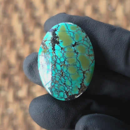 Stabilized Cloud Mountain Turquoise Oval