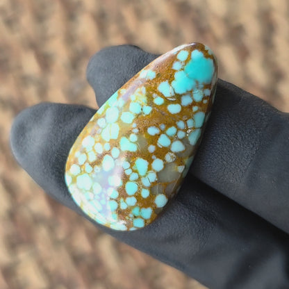 Stabilized #8 Turquoise Pear-Shaped