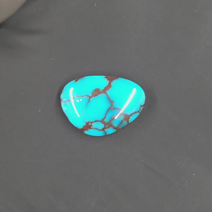 Stabilized Egyptian Prince Turquoise Freeform