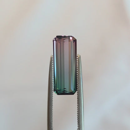 Brazilian Tourmaline (Bicolor) Rectangular Faceted Cut