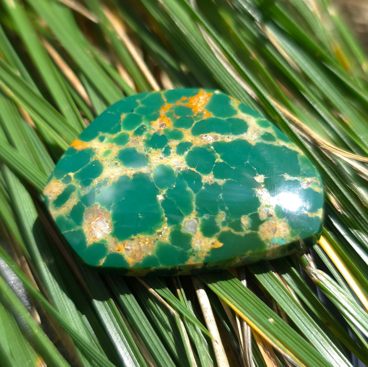 Stabilized Kingman Turquoise Freeform