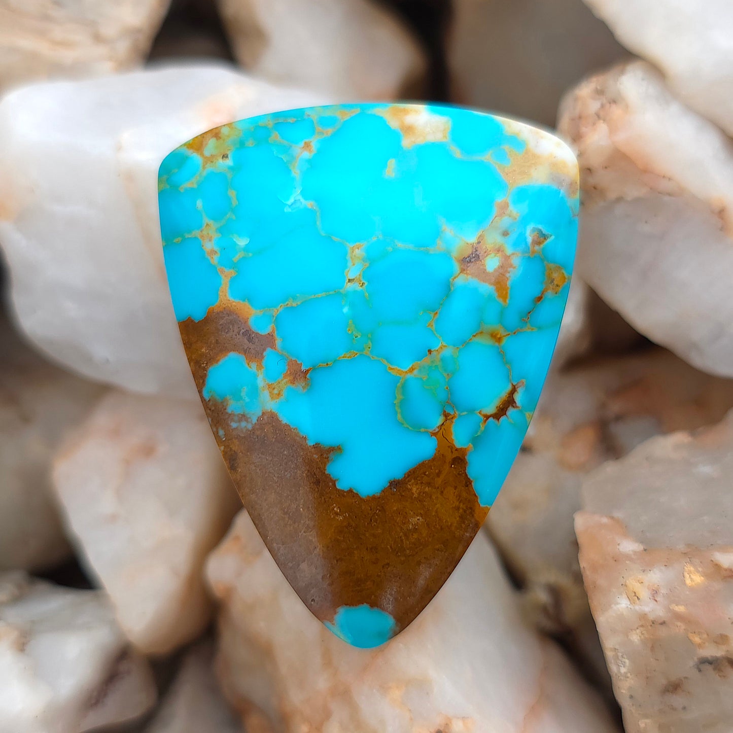 Stabilized Kingman Turquoise Tongue-shaped