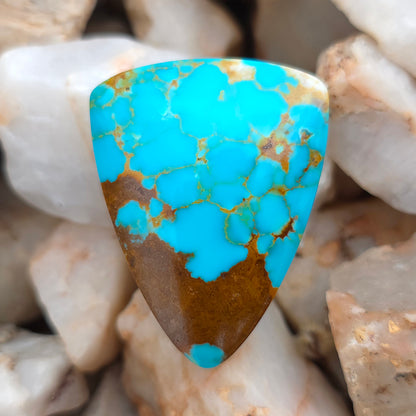 Stabilized Kingman Turquoise Tongue-shaped