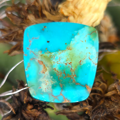Stabilized Kingman Turquoise Freeform