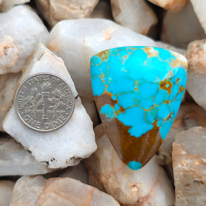 Stabilized Kingman Turquoise Tongue-shaped