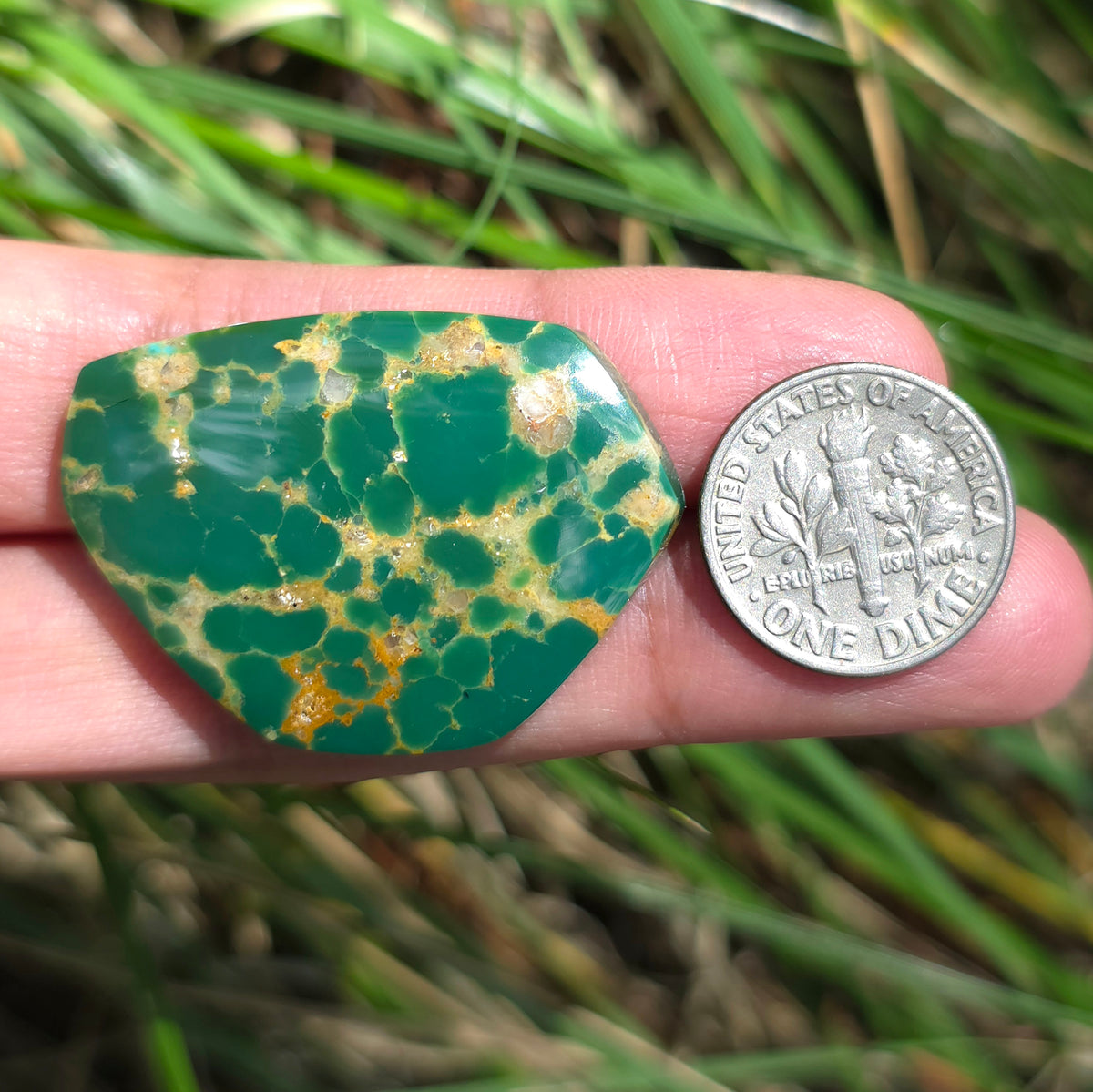 Stabilized Kingman Turquoise Freeform